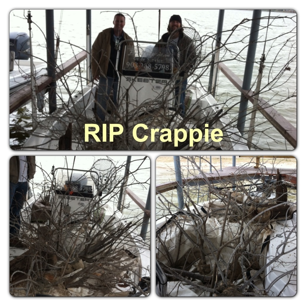Crappie Homes